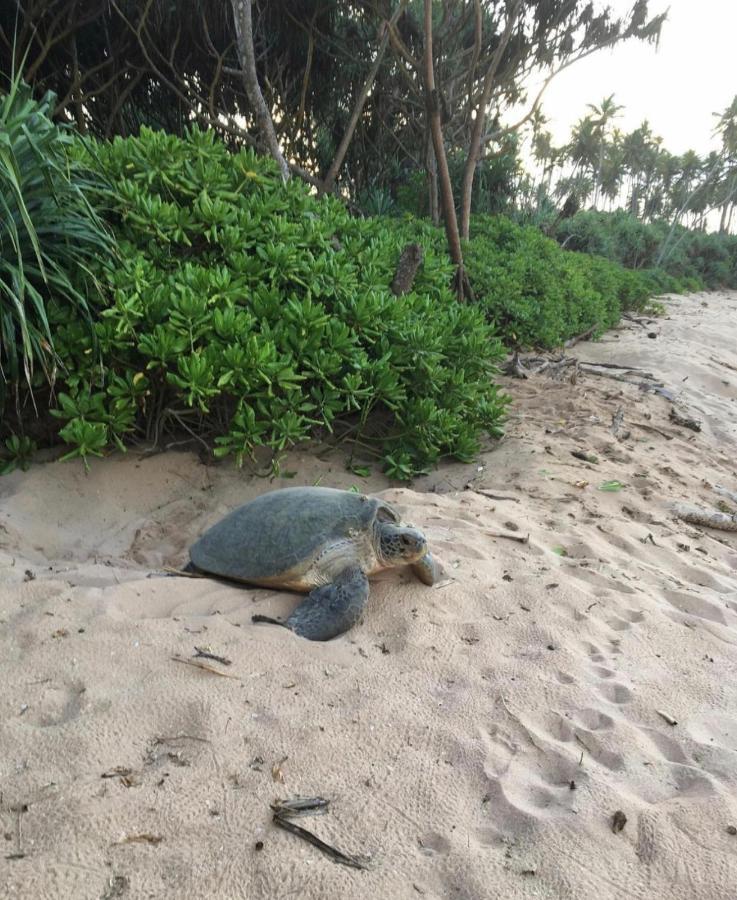 Marakolliya Beach Resort Tangalle Dış mekan fotoğraf